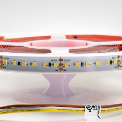 12V ProColour Vari-White LED Ribbon - 5m