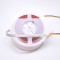 24V 364/m ProColour-24 Variable White LED Ribbon - 5m 24V 364/m ProColour-24 Variable White LED Ribbon - 5m