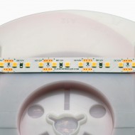 12V ProColour White LED Ribbon - 5m