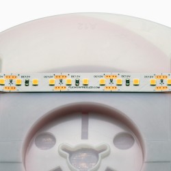 12V ProColour White LED Ribbon - 5m