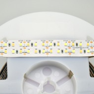 12V Double Row ProColour Vari-White LED Ribbon - 2.5m