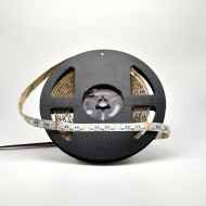 12V ProColour RGBA Single Chip LED Ribbon - 5m