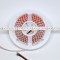 24V ProColour RGB+TD 60/m or 96/m Single Chip LED Ribbon - 5m 24V ProColour RGB+TD 60/m or 96/m Single Chip LED Ribbon - 5m