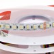 24V ProColour-24 RGBW 96/m Single Chip LED Ribbon - 5m